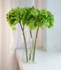 Ваза «Флоранс»