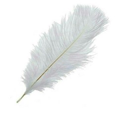 Страусиное перо, белое 55 см