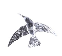 Акриловые колибри 10х13,5 см