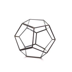 Флорариум «Бона» черный