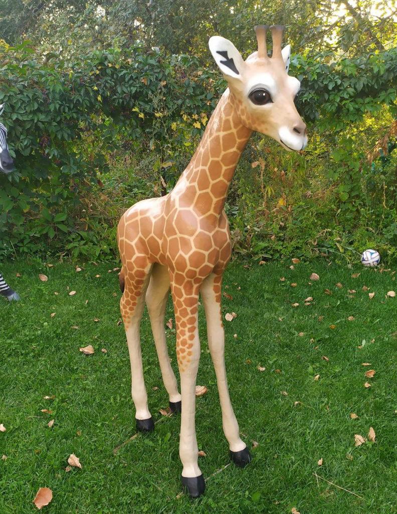 Фото товара