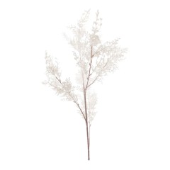 Ветка с мелкими листиками