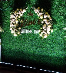 Стена из самшита (2.4х2.4 м)